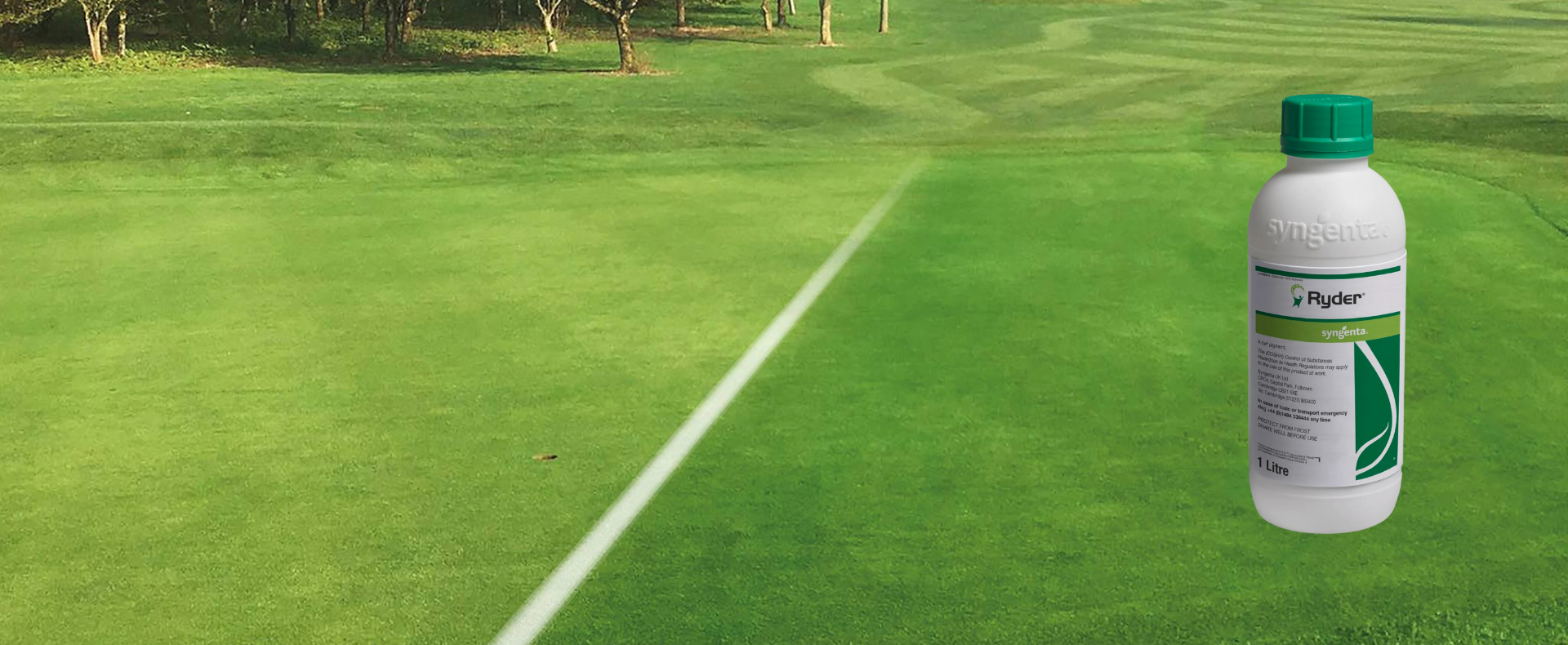 Ryder Turf Herbicide Ryder Turf Herbicide