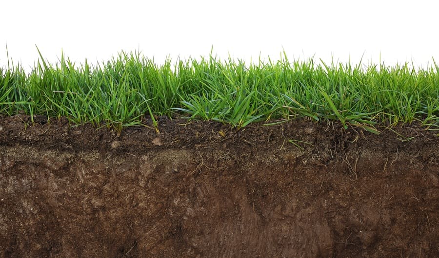 How Soil Wetting Agents Work And Why You Should Use Them - Nuturf