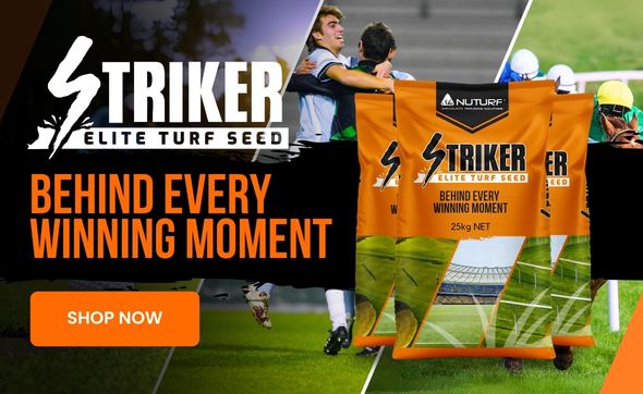 Striker Turf Seed
